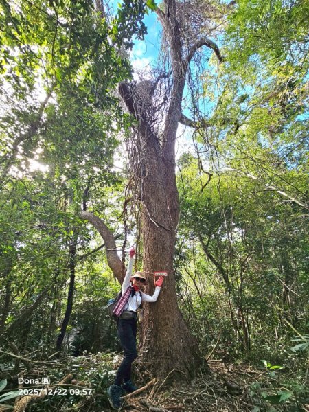 20251222竹東三山步道O型連走(樹杞林山、新具庄山、員崠子山)2975767