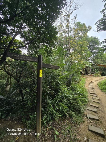 2026-03-21微笑山線：【鳶山山系】鳶山彩壁段3020481