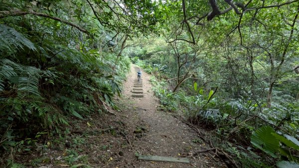114.06.07過港山-四腳亭砲台-深澳坑砲台山之旅2806572