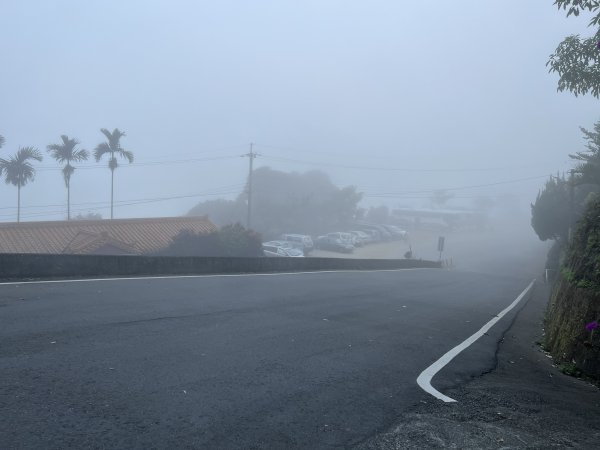 崁頭山步道｜上去後Ｏ型 左上 右下1909768