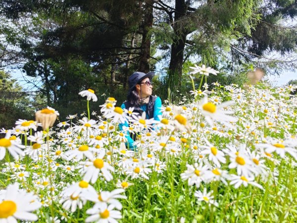 玉山群峰前五峰後四峰2610649