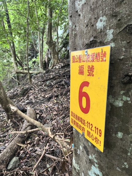 東河線上鵝公髻山，至鳥嘴山後下大窩山部落 2024.8.182577495