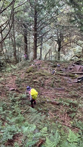 太平山運材軌道見晴線2588843