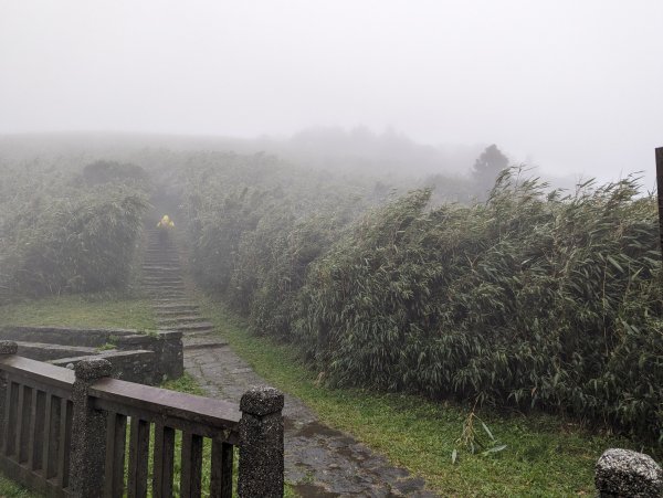 2023-12-23 臺北大縱走第二段2793122