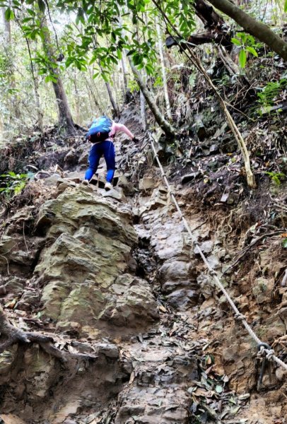 【中級山】天梯直上雲霄，一切美景盡在眼底，谷關七雄白毛山2742441