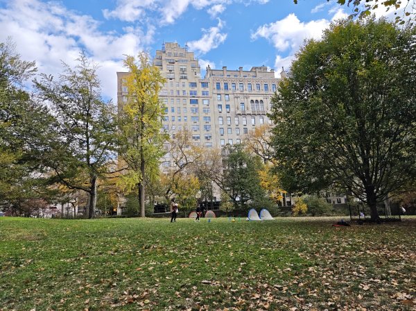 [紐約馬之行-11] 2025_1101 中央公園-畢士大露臺2945109