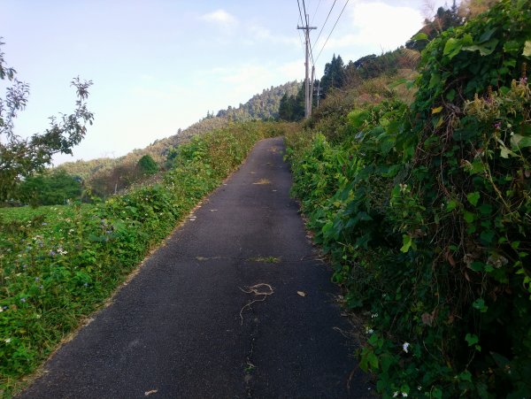 馬那邦山(小百岳編號037)720081