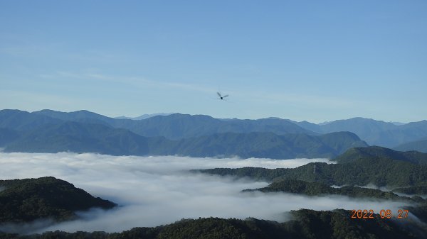 石碇二格山雲海流瀑+十三股山(永安社區)+獵狸尖(梅樹嶺山706M)8/271821617