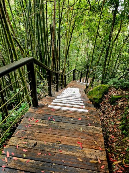 迷糊步道 - 2024嘉遊好步道．來嘉走走2632484