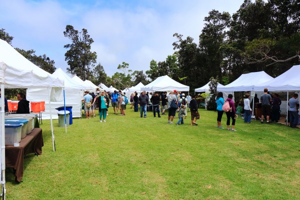 夏威夷火山國家公園613295
