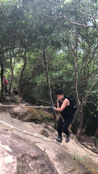 攀繩登山步道｜三峽五寮尖 06261011185