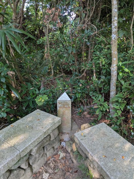 2025-06-21 臺北大縱走第五段來回 & 大崙頭尾山親山步道2818769