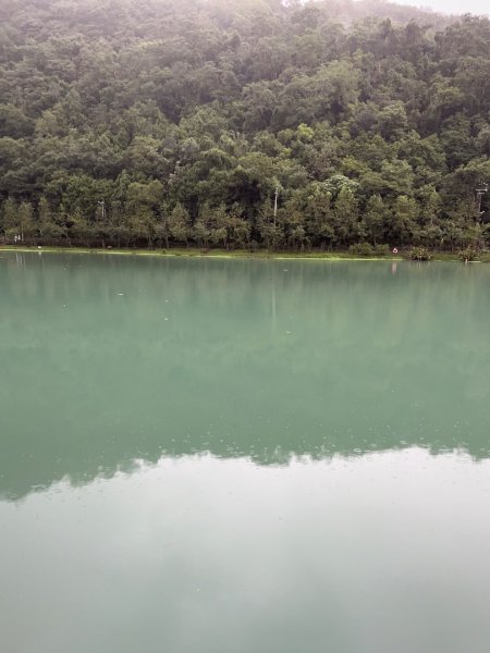 20241121_望龍埤步道2855714