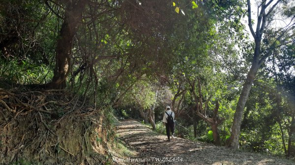 《彰化》卦山少林｜花壇西來園（銀行山）登山步道202412012657895