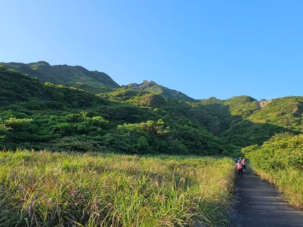 新北 瑞芳 無言的山丘2788510