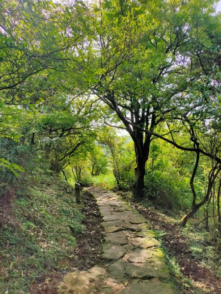 ［走遍陽明山］頂山石梯嶺步道+坪頂古圳2186456