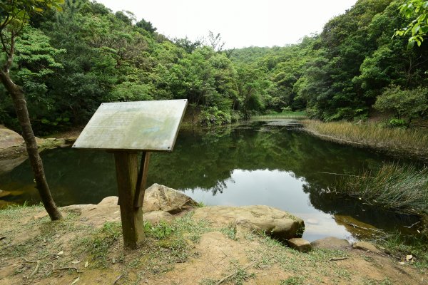 山中小湖系列 空靈系秘境 2022 D0508 金明山/如意湖, 柯子林山 O 形走