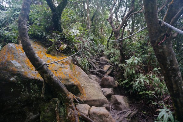 二格山登山步道1911669