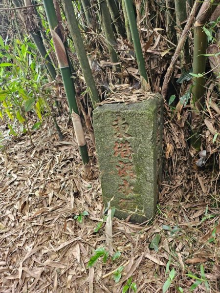 20260929泰武 虻彈山 桑留守山O繞3124972