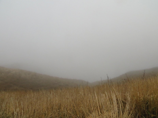 雲霧中遊走七星山之美33437
