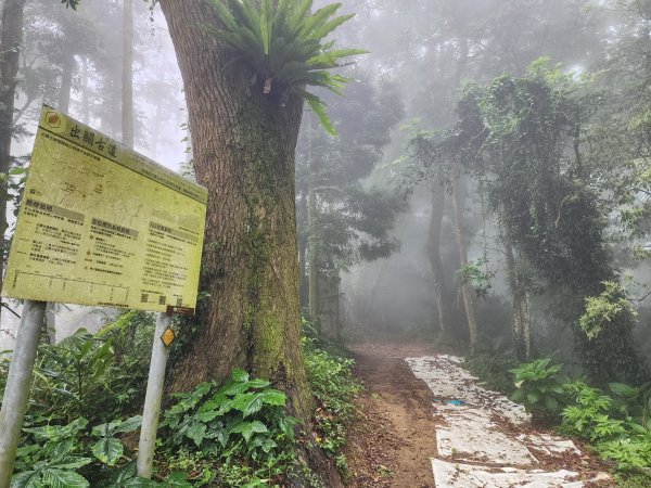 小百岳No.36⛰關刀山3050460