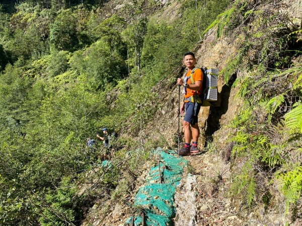 雙龍林道-巒安堂-西巒大山【一切都很美好 除了肩膀之外】2567819