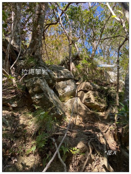 那羅山、煤源山、凌空廊道連走2684226