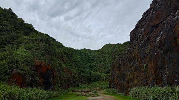 楊廷理古道2814579