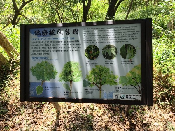 [漫遊縱谷 愛在花東-01/10] 2025_1011 大武觀海步道2912921