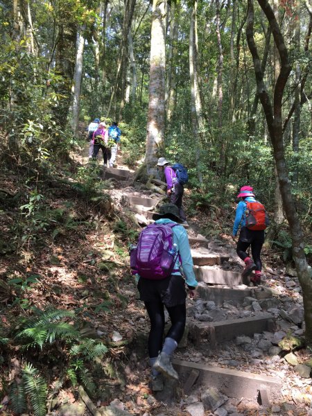 20210410台中鳶嘴山稍來山縱走1348393