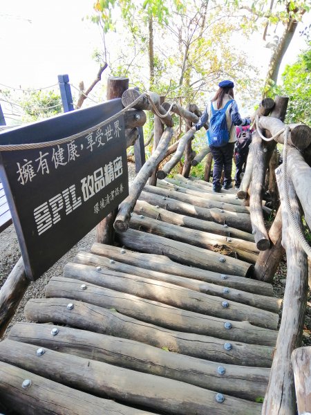 台中北屯~相思圓木棧道練腳力大坑二號步道883328