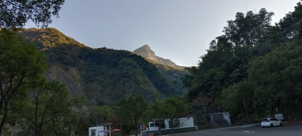 20231125_鳥嘴山步道(上島山)2359170