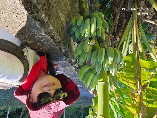 20251209新竹寶二水庫環湖O走+峨嵋湖2969276