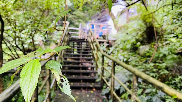 新北石門|老梅溪青山瀑布步道|台版奧入瀨溪|夏日消暑秘境|清涼親子景點1975471