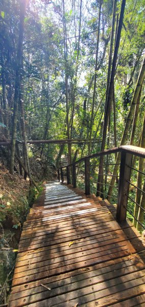 2025-01-30迷糊步道2704438