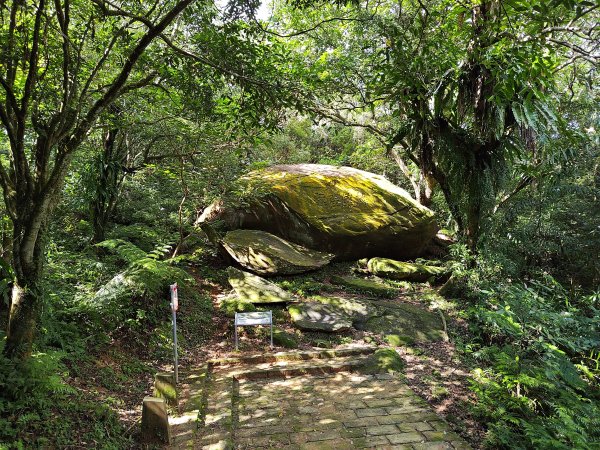 20260919草嶺古道3120783