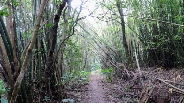 十八彎古道2026570