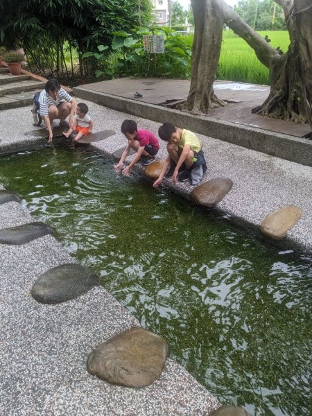 霄裡玉元宮、石母娘娘廟、亮亮健康樂園、桃園青年體驗學習園區、海螺文化館2897719