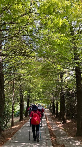 臺北大縱走第三段_登七星而小台北2910354