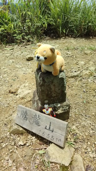 2025/6/14 橫龍山2839242