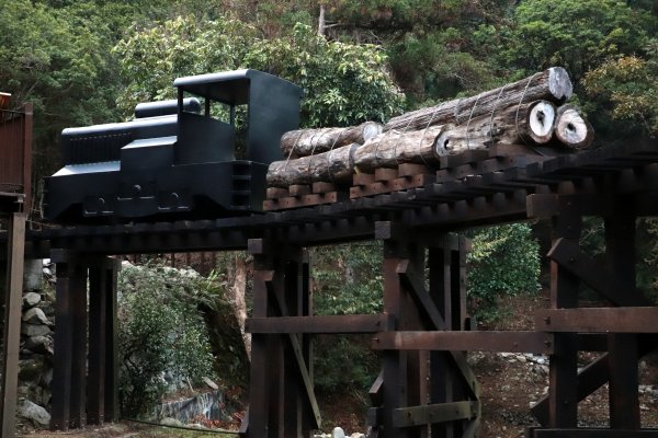 2020-12-12 八仙山1216318