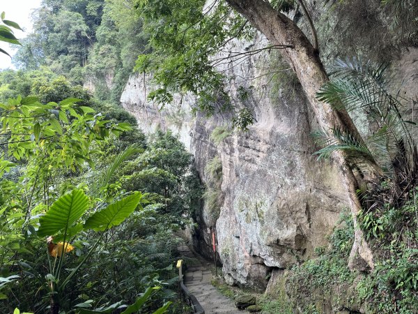 [皮皮獅Hike客任務-04/10] 2024_0721 獅山古道2557467