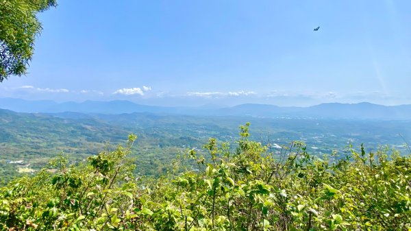 龍麟山登山步道2730758