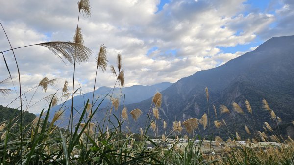 【走進望鄉部落，抬頭就見玉山】獵人古道之望美山、瓊山O繞16K。2972257