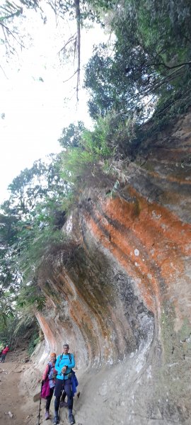 2021最後一爬~鳶山封面