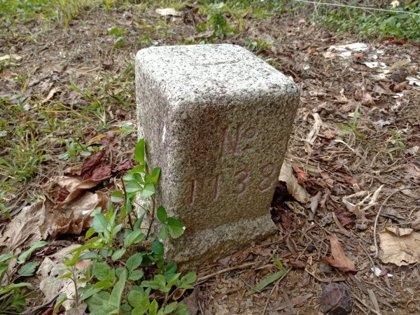 20220226台中和平尾文坑山、三叉坑山、穿龍山、大湖桶山基石1619037