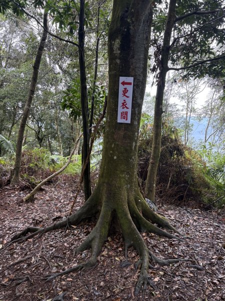 20251227尾寮山登山步道2970522