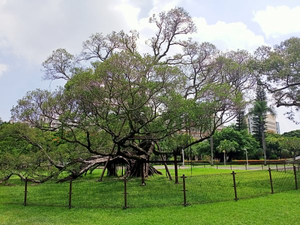 2-1 國立成功大學校園巡禮《臺南親子、人文、藝術、建築、美食之旅》1828036