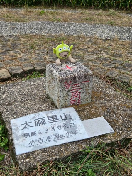 太麻里金針山2872627