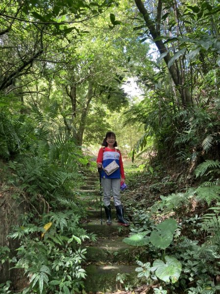 【新北-臺灣百大必訪步道】流水淙淙的三貂嶺瀑布群步道1455419